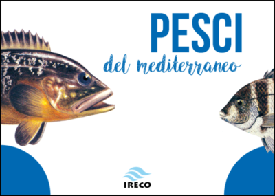 pesci mediterraneo