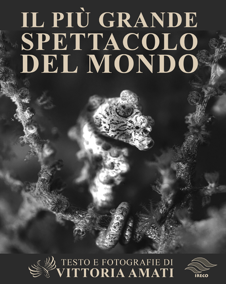 Il più grande spettacolo del mondo