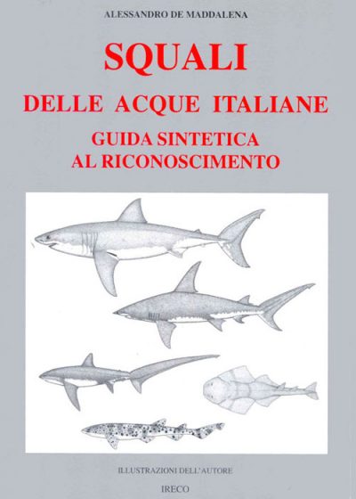 cop-squali-acque-italiane