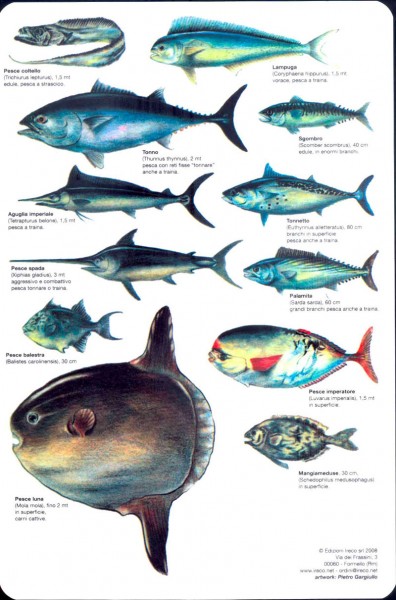 pesci-mare-aperto-retro